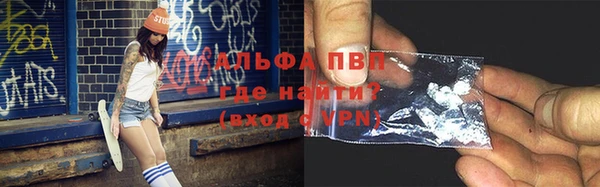 сатива Абаза