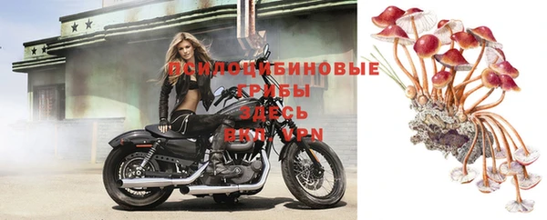 Альфа ПВП Абдулино