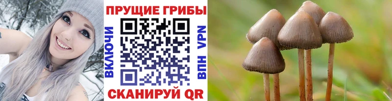 Галлюциногенные грибы MAGIC MUSHROOMS  Козловка 